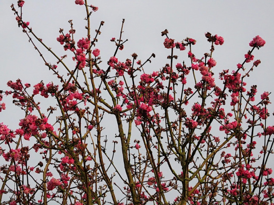 gite de groupe BASSE-NORMANDIE