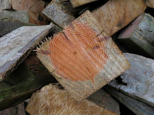 vacances en groupe BRAFFAIS