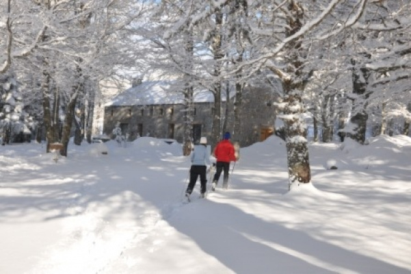 gite de groupe Gîte de Séjour de 24 places