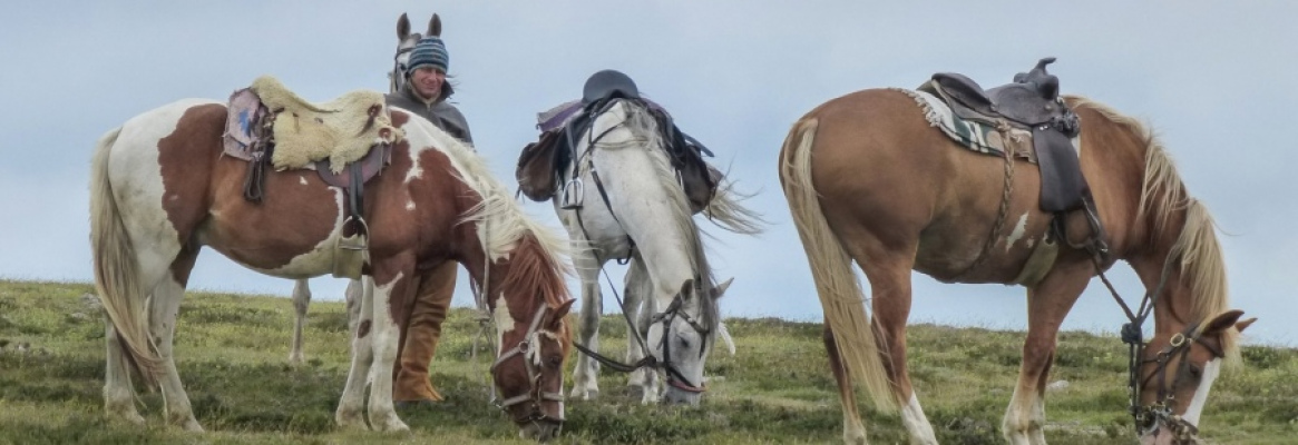 location de vacances LANGUEDOC-ROUSSILLON