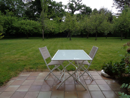 jardin vue des hortensias