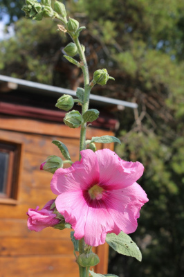 vacances de groupe Gîte de groupe 35 personnes Gîtes les Roche 