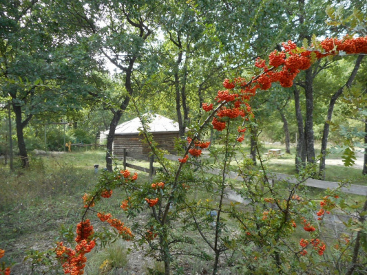 gite pour groupe Gîte de groupe 35 personnes Gîtes les Roche 