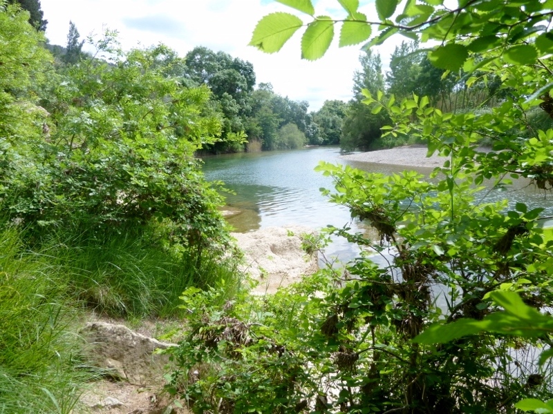 Bord de rivière et abords du gîte