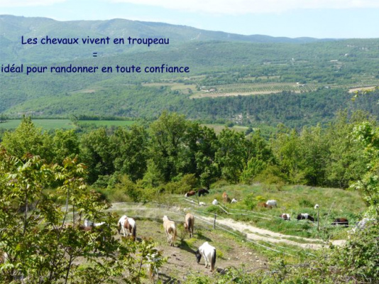 hébergement de groupe Gite