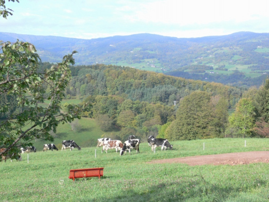 gite france ALSACE