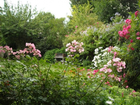 Jardin d\\\\\\\\\\\\\\\' un gîte