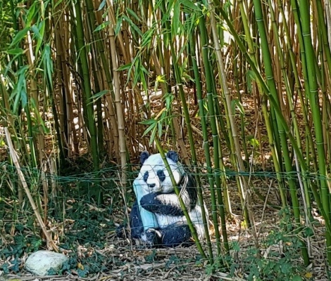 grand gite PAYS DE LA LOIRE