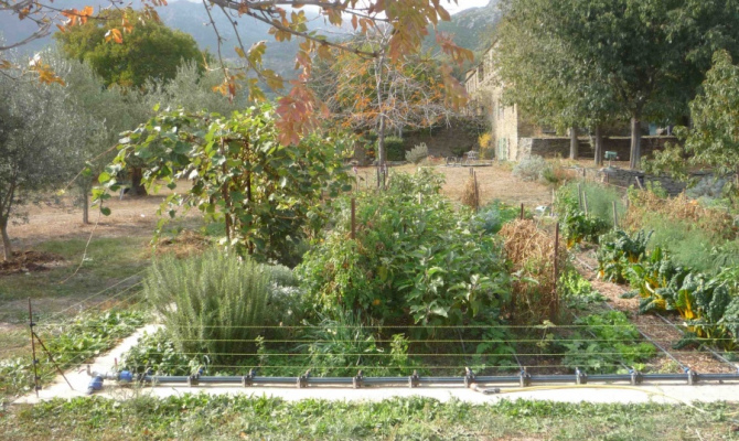 gite SANTO-PIETRO-DI-TENDA