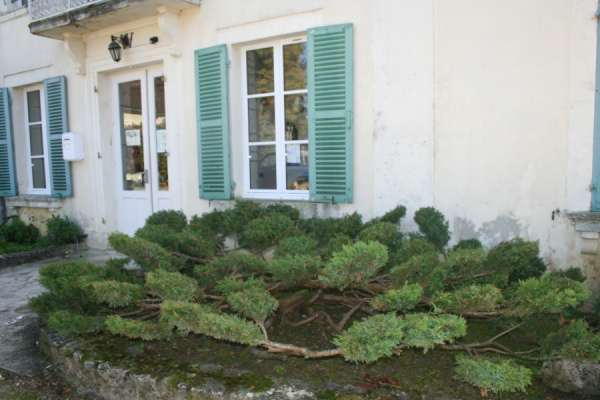 hébergement de groupe Aube