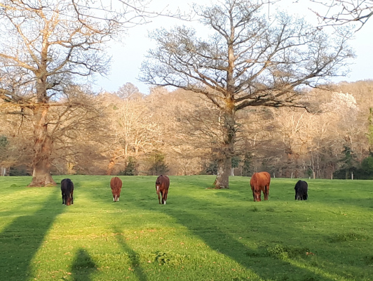 location Gite, Chambre d'hôtes