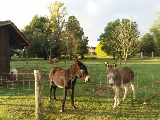vacances de groupe FAUX