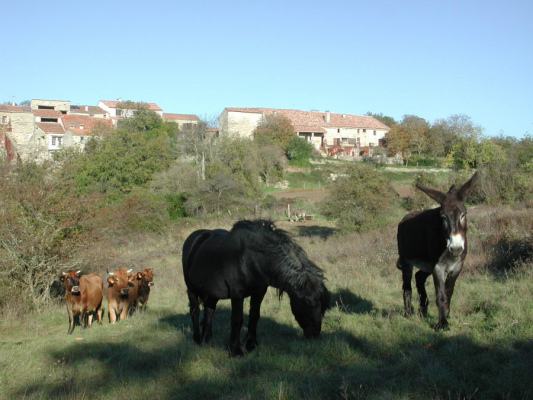 logement de groupe Gîtes de Briandes 9 - 52 personnes