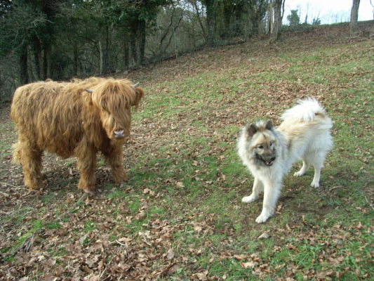 gite pour groupe PAYS DE LA LOIRE