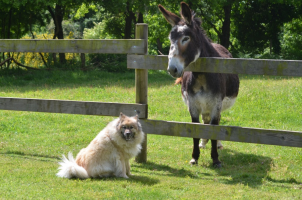 vacances en groupe Gite, Gite d'étape, Gite insolite