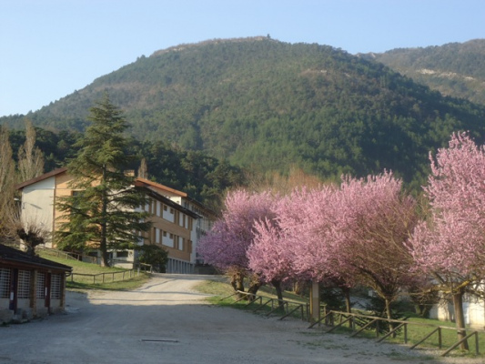 Bâtiment printemps