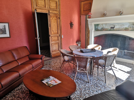 salon avec cheminée