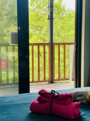Vue de la chambre Salamandre