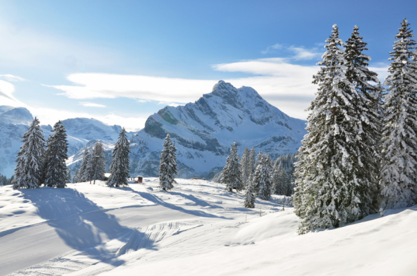 location VIELLE-AURE