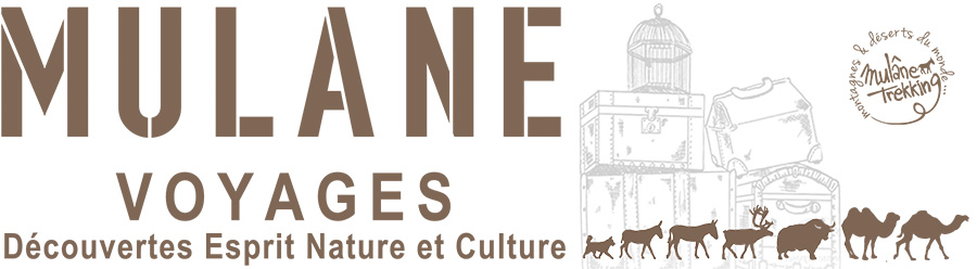logo de Mulane Voyages