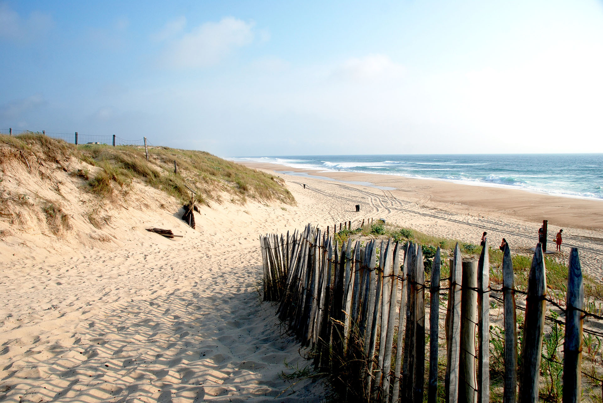 Paysage plage des Landes