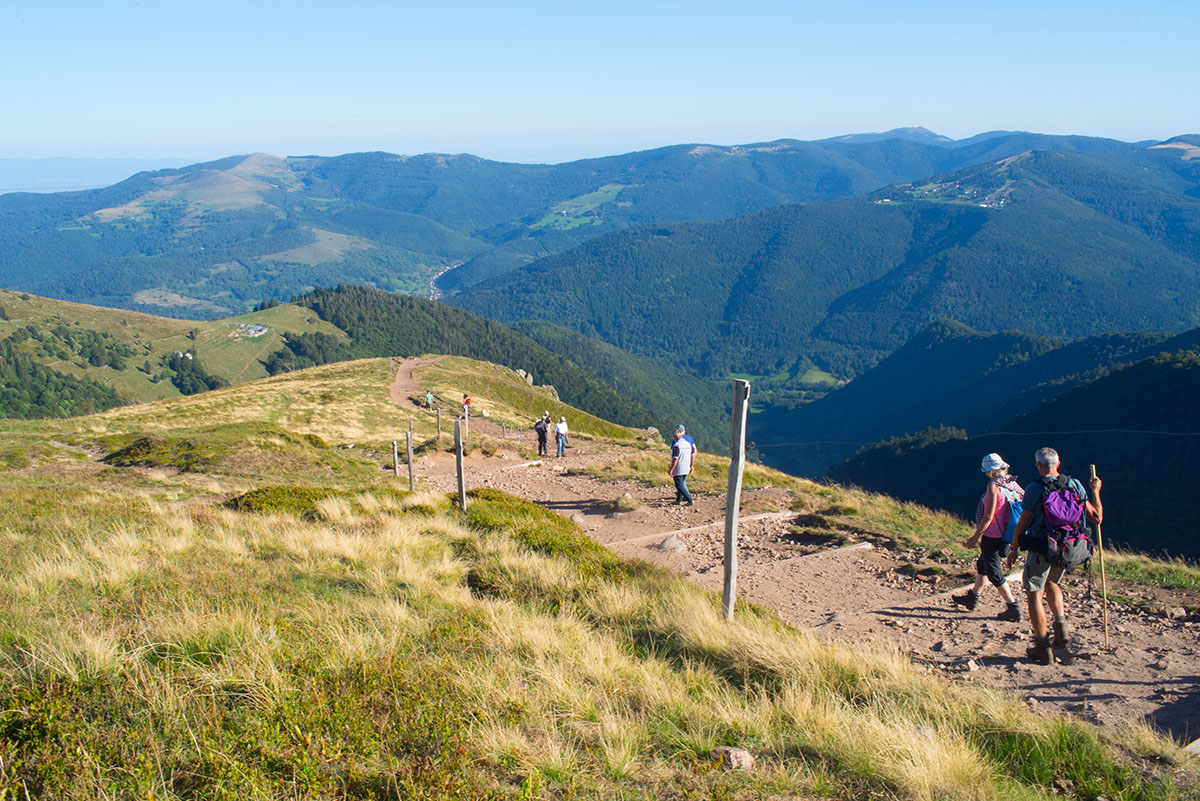 Randonnée dans les Vosges : col du Hohneck