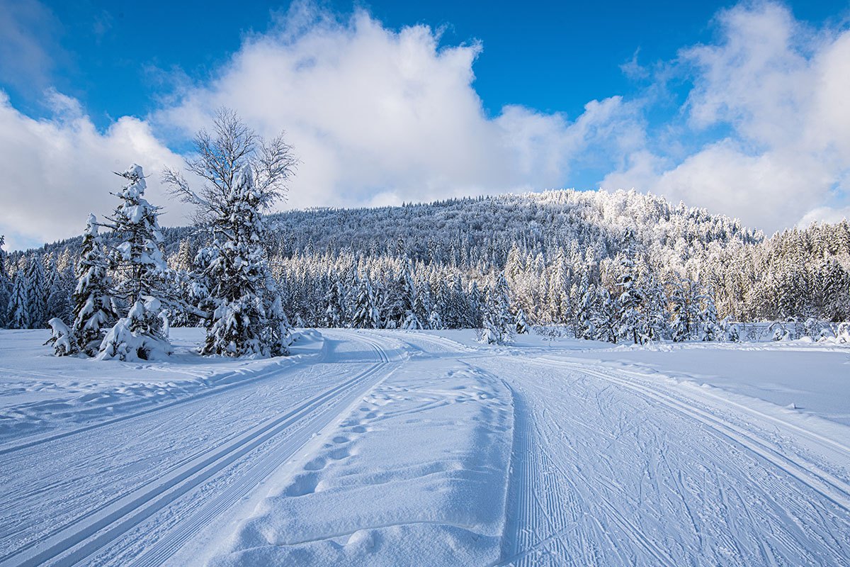 Station de ski de fond la Bresse dans les Vosges